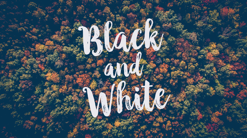 font-black-white