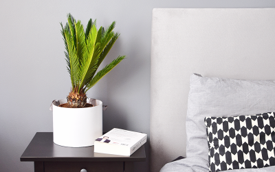 Rzeczy, które pomogły mi poczuć się w nowym miejscu jak w domu